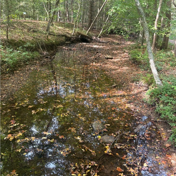 Meet your Posher, Alexius - Picture 2 of 4